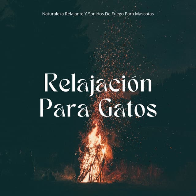 Relajación Para Gatos: Naturaleza Relajante Y Sonidos De Fuego Para Mascotas - Sonidos de fuego con ruido blanco burbujeante