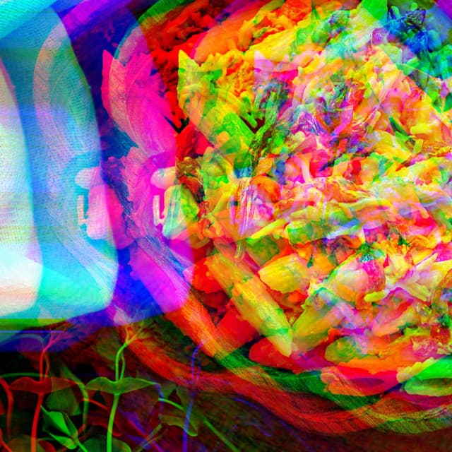 Pulsating Piano Bossa Duo - Ambiance for Releasing Stress - Relaxing Morning Jazz