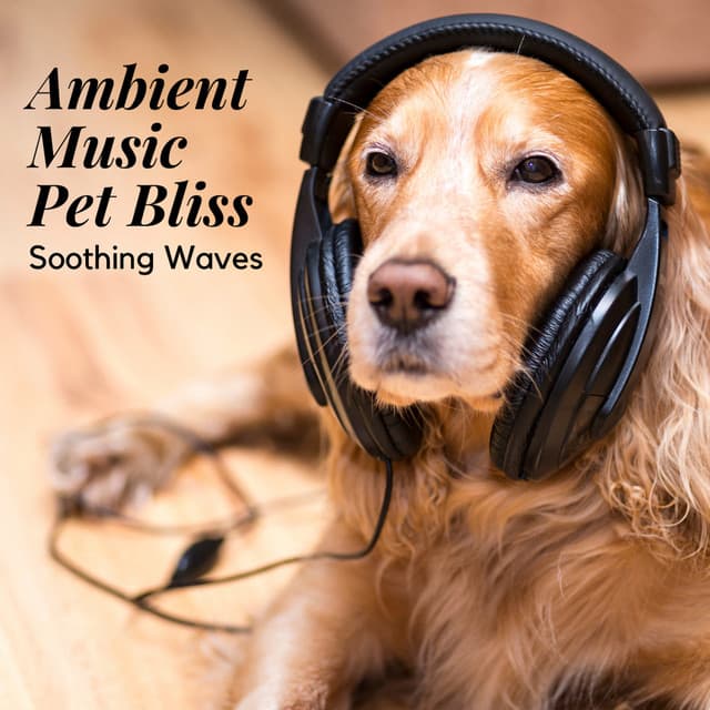 Ambient Music Pet Bliss: Soothing Waves - Pet Ambience