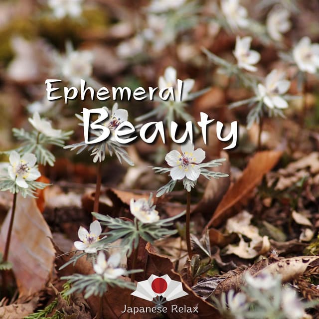 Ephemeral Beauty - Musical Blooms of Serenity - Japanese Relax
