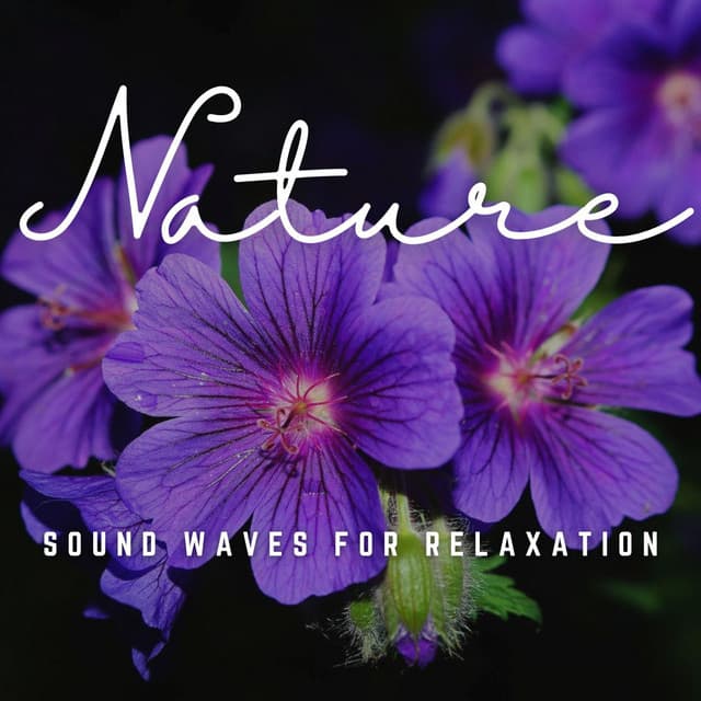 Harmonic Bliss: Sound Waves for Relaxation - Relaxing Zen Music Therapy