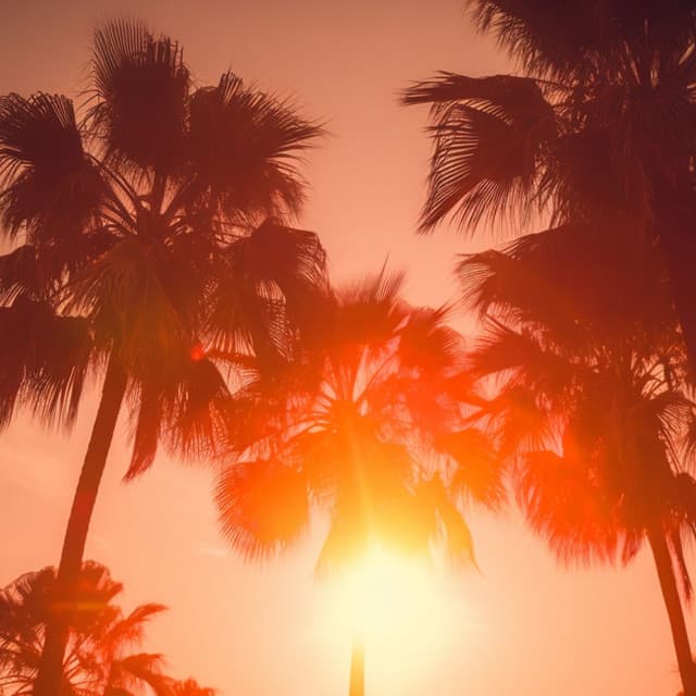 Balearic Sunset Chill - DJ Charles EDM