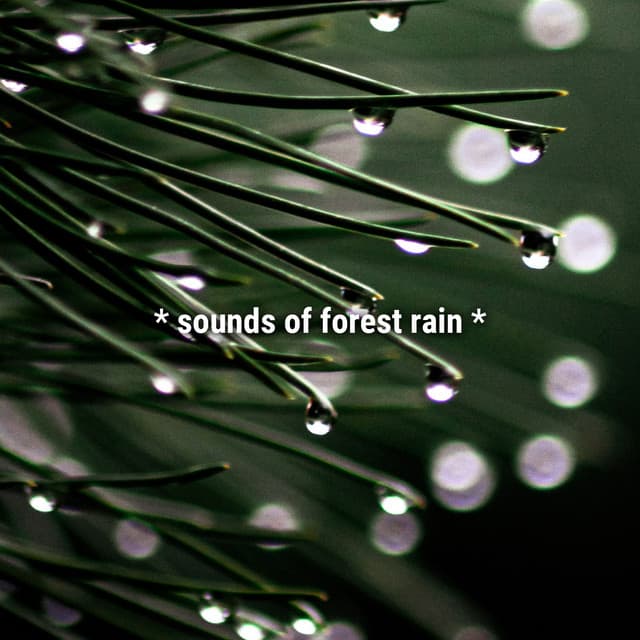 * sounds of forest rain * - Sound Effects Library