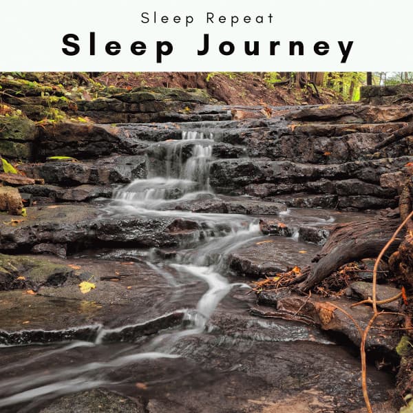 A Sleep Journey - Sleep Repeat