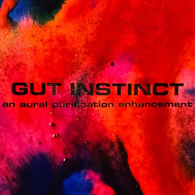 GUT INSTINCT: An Aural Purification Enhancement - Kyle Bruckmann