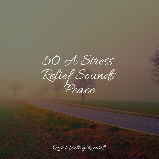50 A Stress Relief Sounds Peace - Spa & Spa