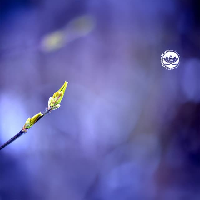 Motivation and Inspiration Day 2025 - Healing Meditation Zone