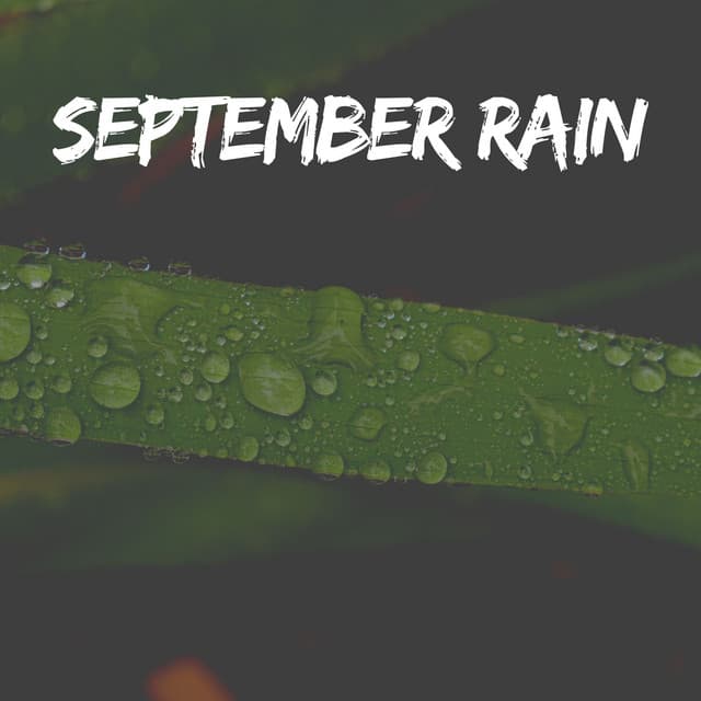 September Rain - Best Rain Sounds ASMR