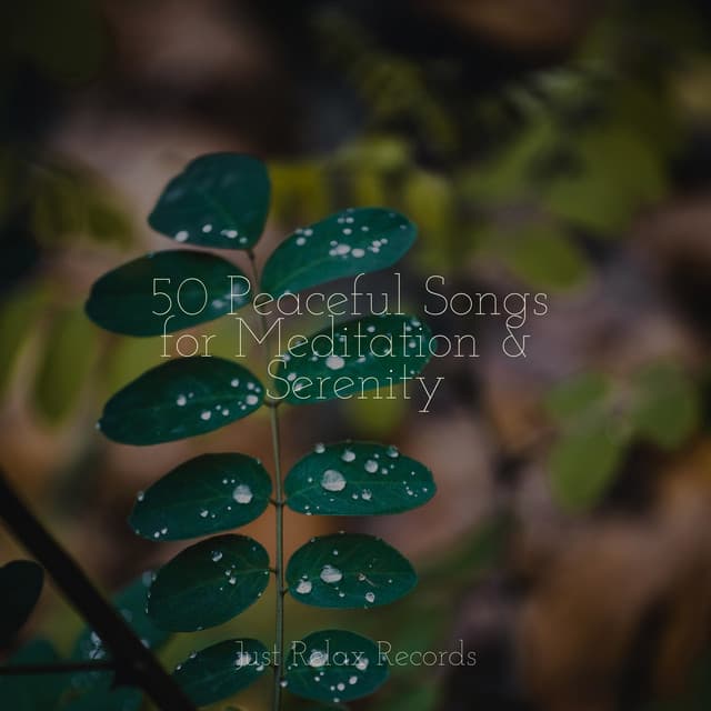 50 Peaceful Songs for Meditation & Serenity - Lullaby Land