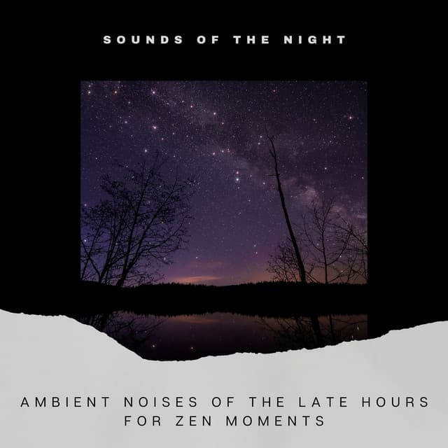 Ambient Noises of the Late Hours for Zen Moments - Sounds of the Night