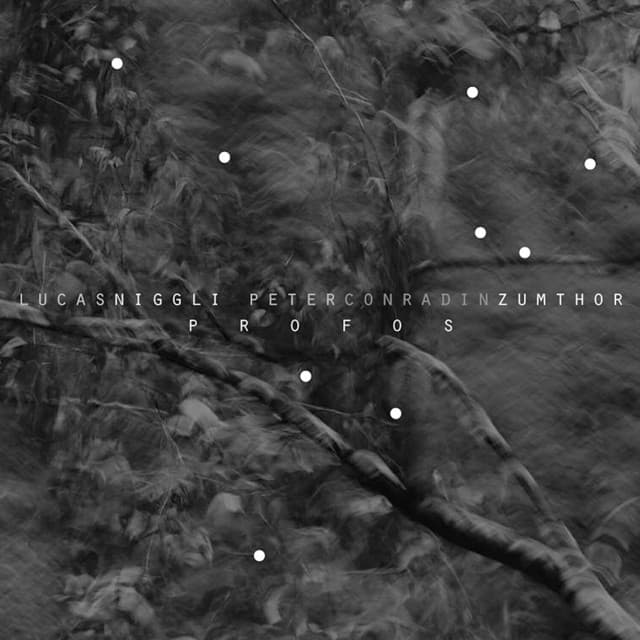 Profos - Lucas Niggli