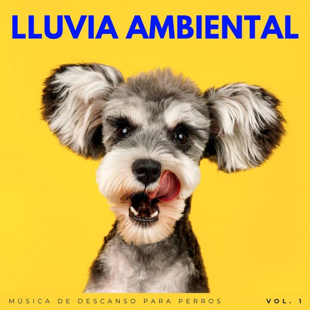 Lluvia Ambiental: Música De Descanso Para Perros Vol. 1 - Llover fuerte