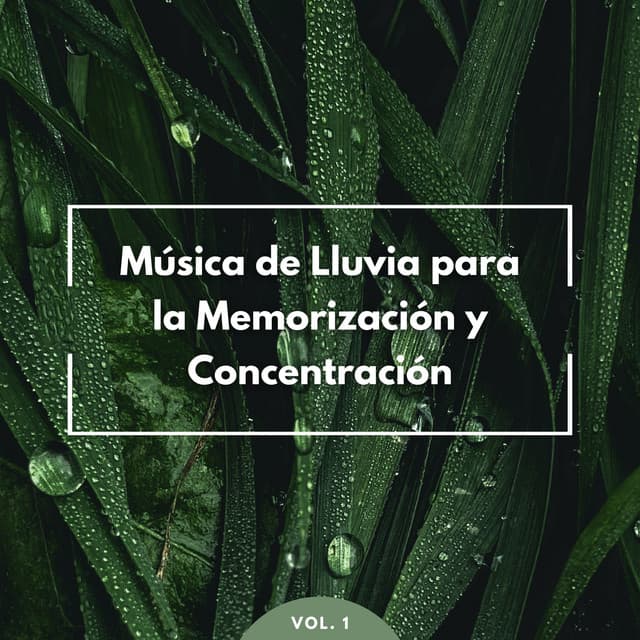Música De Lluvia Para La Memorización Y Concentración Vol. 1 - Bonitos ruidos de lluvia