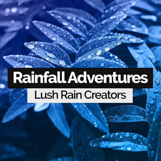 Rainfall Adventures - Lush Rain Creators