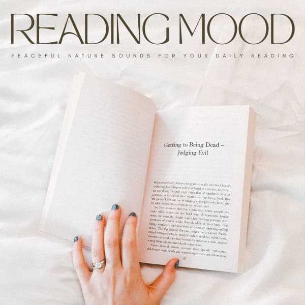 Reading Mood: Peaceful Nature Sounds For Your Daily Reading - XLD Library