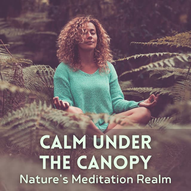 Calm Under the Canopy: Nature's Meditation Realm - Early Spring