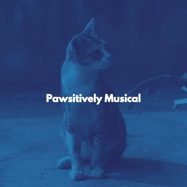 Pawsitively Musical - Cat Relax