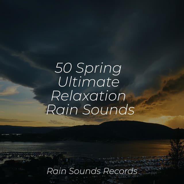 50 Spring Ultimate Relaxation Rain Sounds - Relaxing Rain Sounds