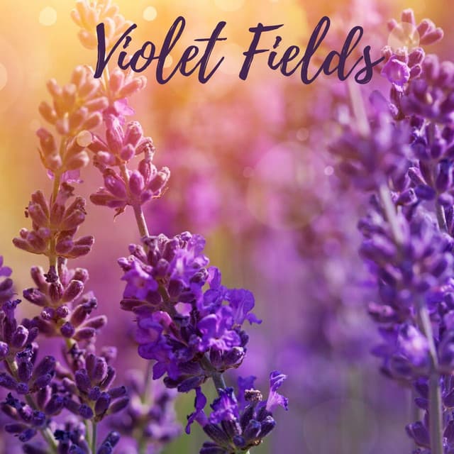 Violet Fields - Koh Lantana