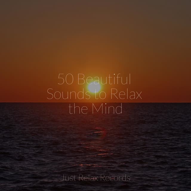 50 Beautiful Sounds to Relax the Mind - Shakuhachi Sakano