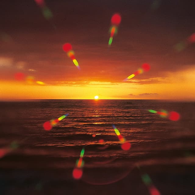 Cafe Del Sol - Jeff Newmann