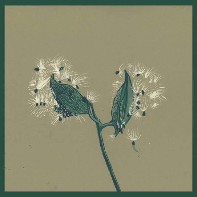 Song Of The Earth - Instrumentals - Dirty Projectors