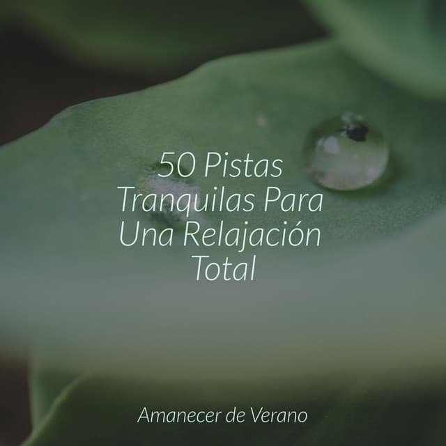 50 Pistas Tranquilas Para Una Relajación Total - Spa