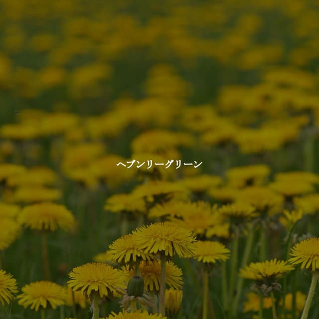 ヘブンリーグリーン - Musica Jazz Instrumental