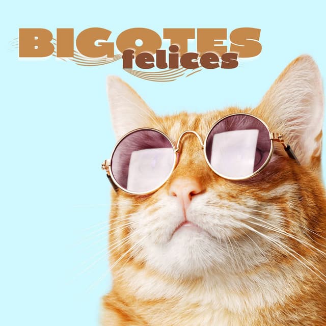 Bigotes Felices: Melodías Relajantes para Felinos Felices y Curiosos - Musica para Gatos