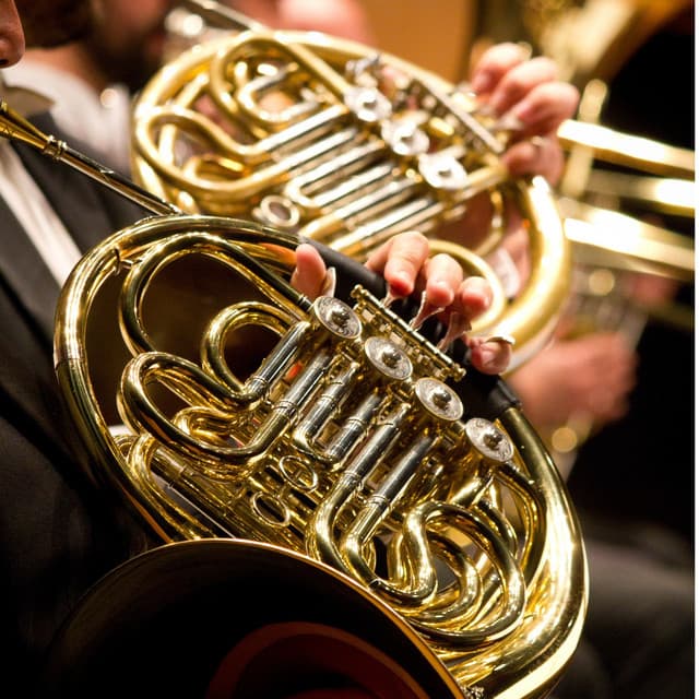 Gentle Touch: Orchestra for Spa - Raymond Floyd