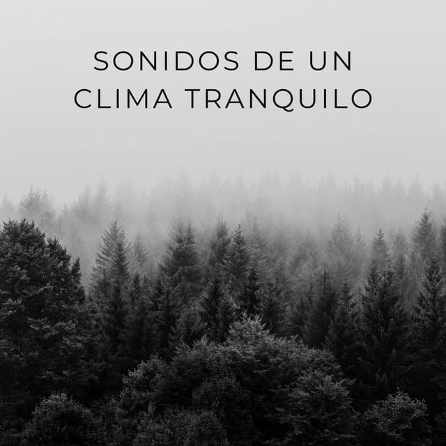 Sonidos De Un Clima Tranquilo - Sonidos del clima