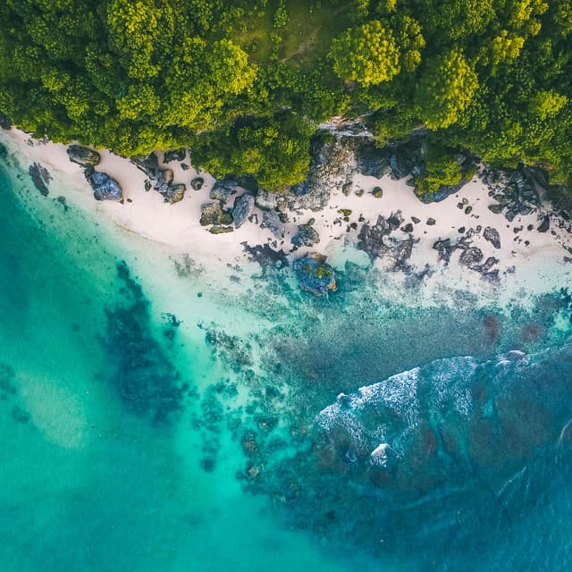 50 Ambient Rhythms: Songs For Concentration - Seascapers