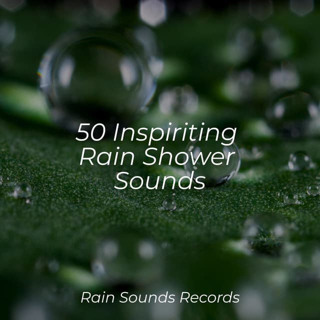 50 Inspiriting Rain Shower Sounds - Yoga Sounds