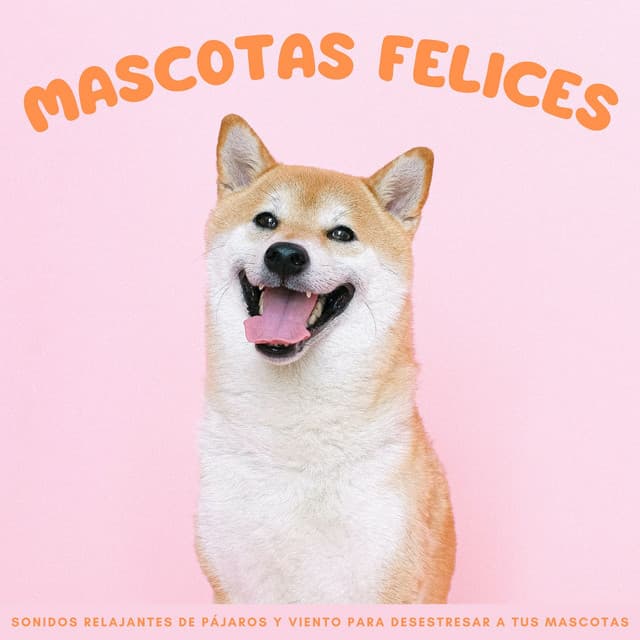 Mascotas Felices: Sonidos Relajantes De Pájaros Y Viento Para Desestresar A Tus Mascotas - Pájaros en el Bosque