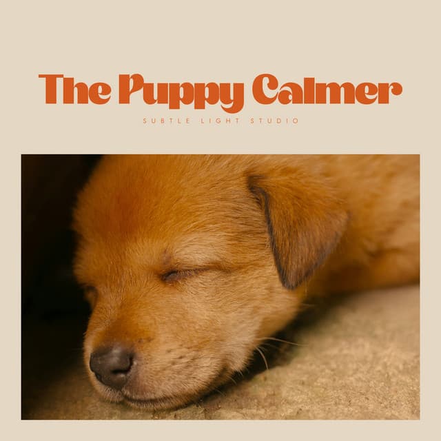 The Puppy Calmer - Dog Relaxation