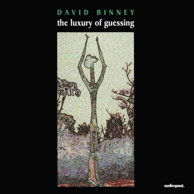 The Luxury of Guessing - David Binney