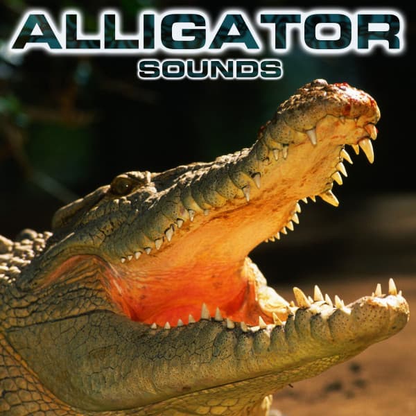 Alligator Sounds