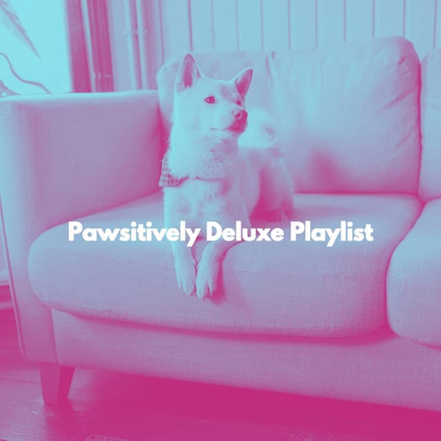 Pawsitively Deluxe Playlist - Coffee House Smooth Jazz Playlist