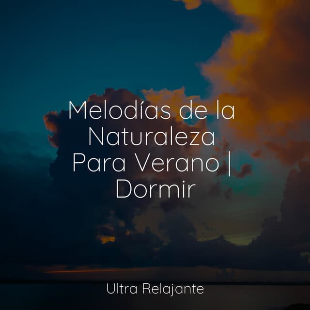 Escola de Meditação