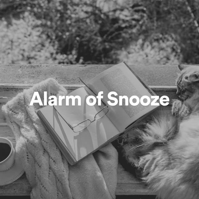 Alarm of Snooze - ASMR Sleep Sounds
