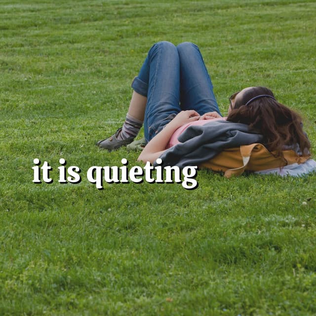 It Is Quieting - White Noise Vacuum