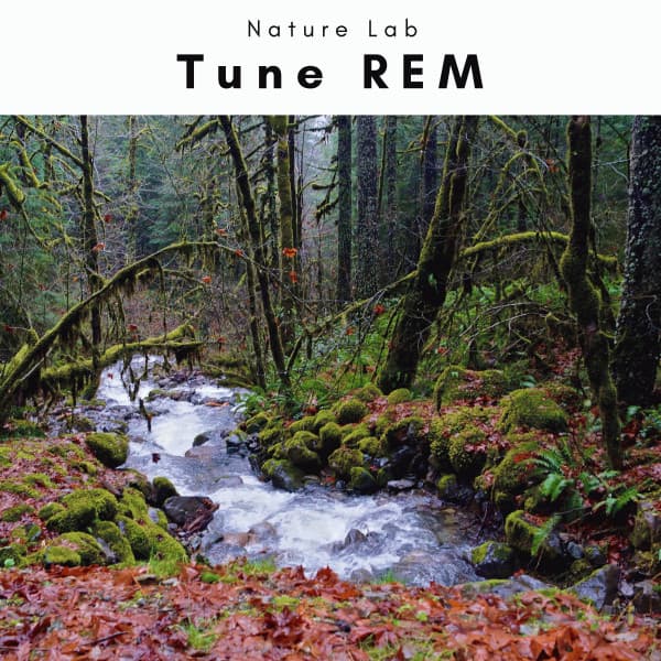 1 Tune REM - Nature Lab