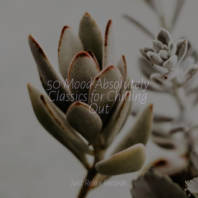 50 Mood Absolutely Classics for Chilling Out - Bedtime Baby