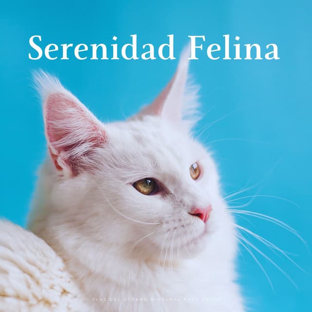 Serenidad Felina: Olas Del Océano Binaural Para Gatos - Ritmo binaural
