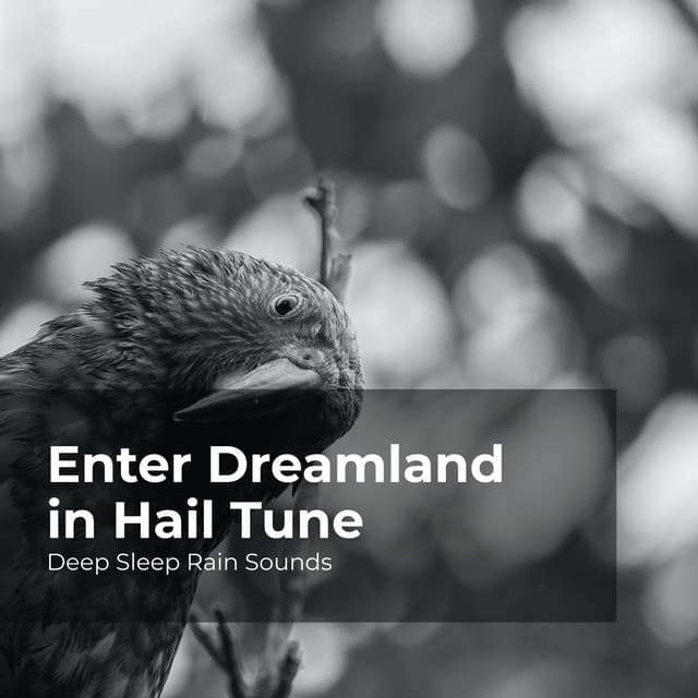 Enter Dreamland in Hail Tune - Deep Sleep Rain Sounds