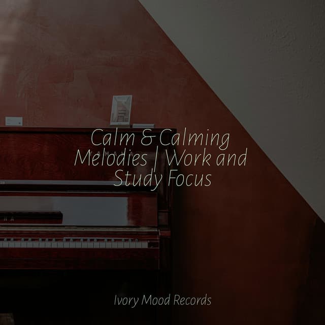 Calm & Calming Melodies | Work and Study Focus - Chillout Lounge