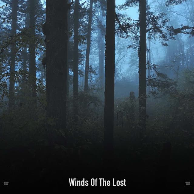 !!!!" Winds Of The Lost "!!!! - The Citizens of Halloween