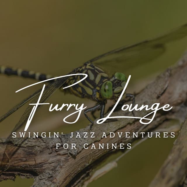 Harmony of Canine Jazz: Coffee Lounge Serenades for Your Pooch - Calming Dog Music