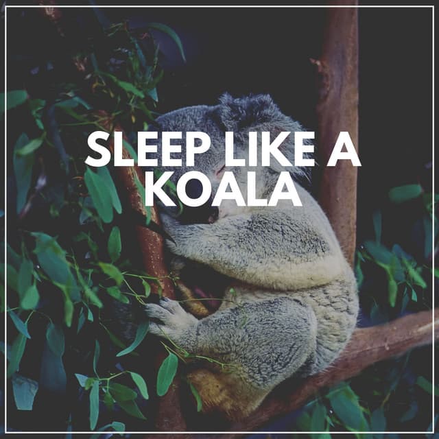 Sleep Like a Koala - Sleeping Music for Babies