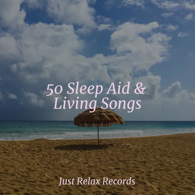 50 Sleep Aid & Living Songs - Japanese Relaxation and Meditation